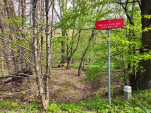 Rezerwat przyrody Łężczok