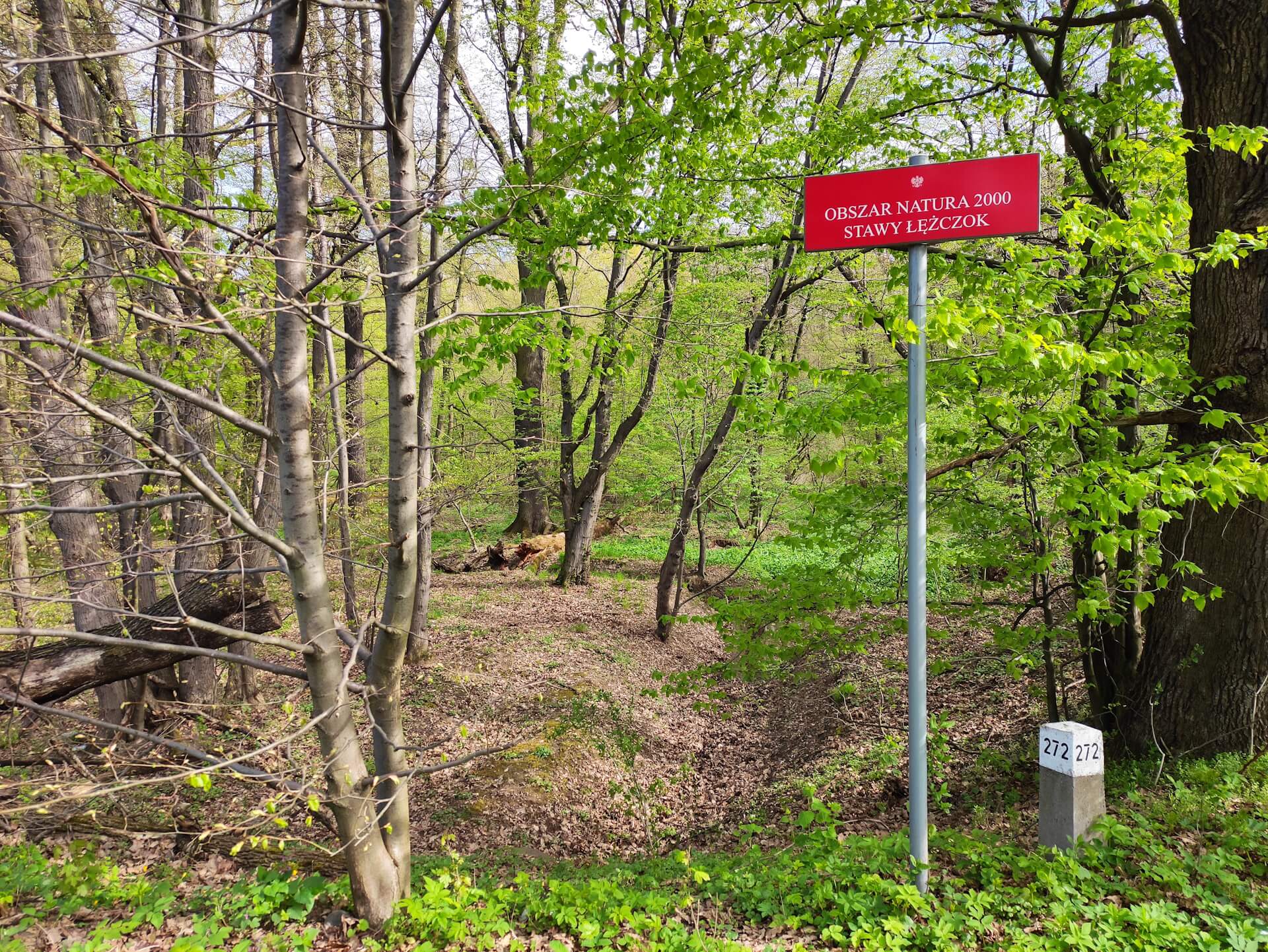 Rezerwat przyrody Łężczok